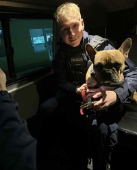 Zdjęcie policjantów oraz pieska.