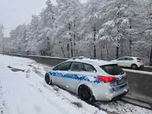 Zdjęcie radiowozu policyjnego.