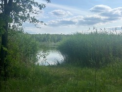 na zdjęciu akwen Sosina,  miejsce zalesione, niestrzeżone