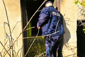 Policjant sprawdza wejście do zarośniętego budynku, zaglądając do środka.