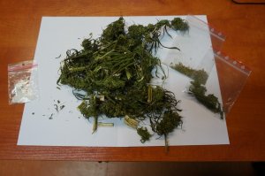 Zabezpieczona marihuana i amfetamina