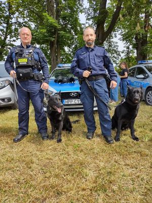 na zdjęciu widocznych jest dwóch funkcjonariuszy policji obok stoją siedzą policyjne psy rasy wilczur koloru czarnego