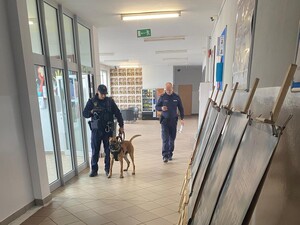 na korytarzu szkolnym policjant , funkcjonariusz Straży Ochrony Kolei obok owczarek belgijski