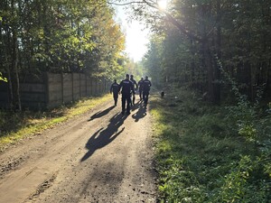 grupa policjantów z psem na przedzie idzie duktem leśnym