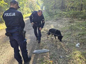 dwóch policjantów stoi na dukcie leśnym obok nich pies