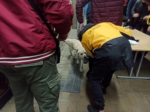 zdjęcie kolorowe: pies wyszkolony na wyszukiwanie zapachu narkotyków ze swoim przewodnikiem podczas działań pod katowickim Spodkiem