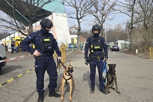 Na zdjęciu policjanci z psami służbowymi