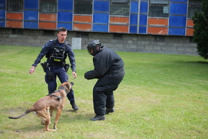 Na zdjęciu policjanci z psem podczas pokazu