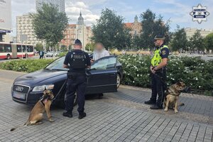 policjant i strażnik podczas kontroli pojazdu