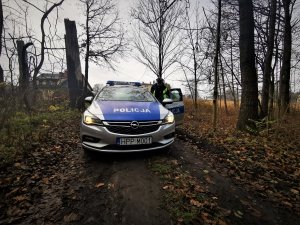 policyjny radiowóz przy wjeździe do lasu