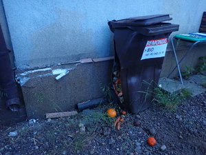 uszkodzony fragment ściany budynku oraz kosza na śmieci
