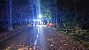 na zdjeciu widać policjantów na drodze