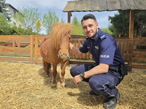na zdjęciu widać policjanta i kucyka