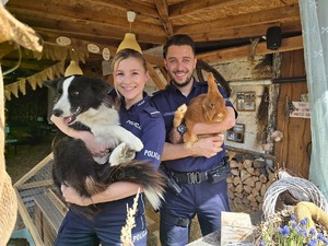 na zdjęciu widać policjantów trzymających zwierzęta