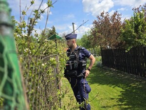 na zdjęciu widać policjanta