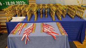 zdjęcie przedstawia medale oraz puchary dla zawodników