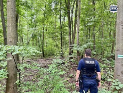 zdjęcie przedstawia policjanta zabezpieczającego miejsce odnalezienia niewybuchów w lesie