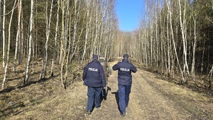 zdjęcie przedstawia policjantów i strażnika leśnego w lesie