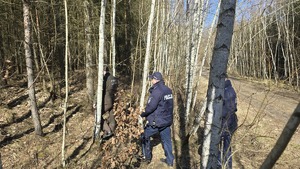 zdjęcie przedstawia policjantów i strażnika leśnego w lesie