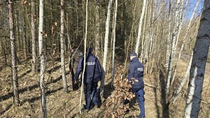 zdjęcie przedstawia policjantów i strażnika leśnego w lesie