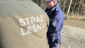 zdjęcie przedstawia policjantów i strażnika leśnego w lesie