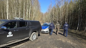 zdjęcie przedstawia policjantów i strażnika leśnego w lesie