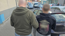 zdjęcie przedstawia zatrzymanego, który jest doprowadzany do radiowozu przez nieumundurowanego policjanta