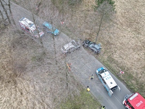 zdjęcie przedstawia policjantów na miejscu wypadku drogowego