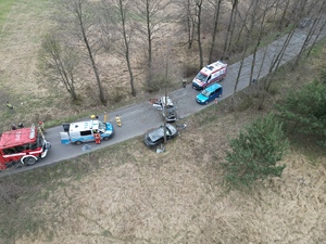 zdjęcie przedstawia policjantów na miejscu wypadku drogowego