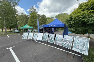 zdjęcie przedstawia plakaty profilaktyczne na temat handlu ludźmi