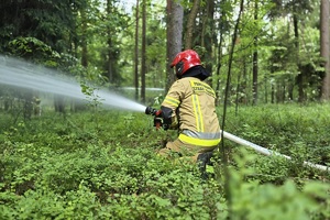 zdjęcie przedstawia strażaka polewającego las wodą