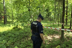 zdjęcie przedstawia policjanta zabezpieczającego niewybuch w lesie