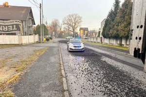 zdjęcie przedstawia węgiel leżący na jezdni.