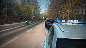 policjanci i inspektorzy podczas wspólnych działań.