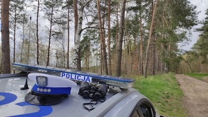 Zdjęcie kolorowe przedstawia oznakowany radiowóz policyjny w lesie.