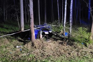 Zdjęcie przedstawia uszkodzony samochód leżący na boku pomiędzy drzewami.