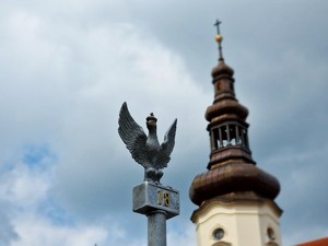 Zdjęcie przedstawia orzełka ze sztandaru.