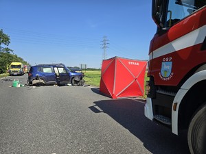 Zdjęcie przedstawia: czynności prowadzone przez ratowników medycznych i straż pożarną.