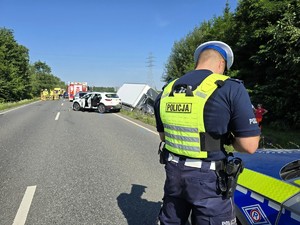 Zdjęcie przedstawia: umundurowanego policjanta w trakcie czynności.
