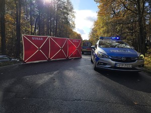 Zdjęcie przedstawia radiowóz na miejscu zdarzenia.