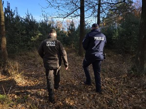 Zdjęcie przedstawia umundurowanego policjanta oraz strażnika leśnego podczas działań prewencyjno-kontrolnych pod nazwą Choinka 2025.
