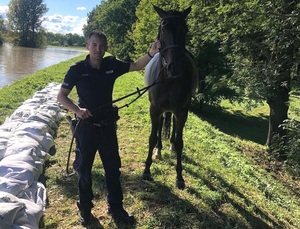 policjant prowadzi konia