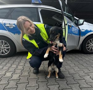 na zdjęciu policjantka trzyma psa