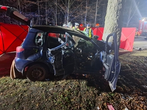 na zdjęciu pojazd który uderzył w drzewo obok strażacy z rozłożonym parawanem