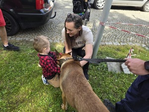 na zdjęciu pies policyjny i mały chłopaczyk