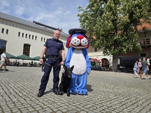na zdjeciu sznupek i pies policyjny z przewodnikiem