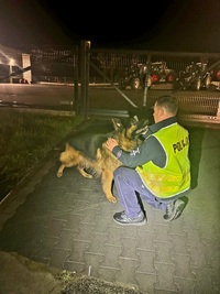 na zdjęciu policjant z psem