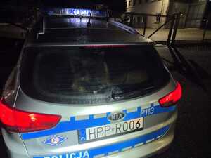 na zdjęciu psiak w radiowozie