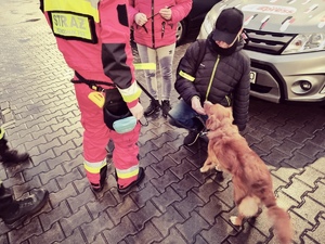zdjęcie z akcji świeć przykładem - noś odblaski - strażak z psem, obok dwie osoby z odblaskami, w tle samochód z napisem radio express