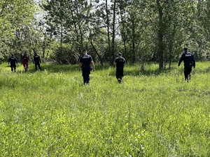 policjanci i strażacy przeszukujący teren łąki